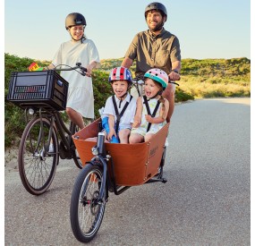 City Mountain - 2 Roues