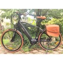 Bay - Beaufort Bikes - Velectrik Moov