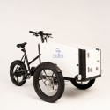 Treebike FamilyBike