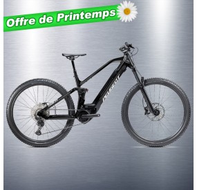 EMountain FS 140 D11+