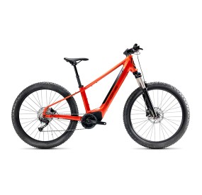 G-One Redwood 1