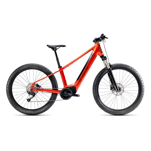 G-One Redwood 1